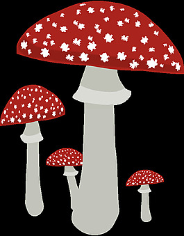 蘑菇4