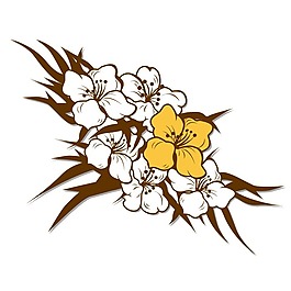 位圖 時(shí)尚休閑女裝 成熟優(yōu)雅女裝 植物 優(yōu)雅植物 免費(fèi)素材