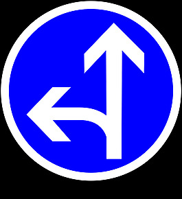 b21d2