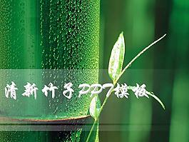 清新竹子背景PPT模板