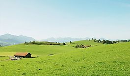 美麗的草原風(fēng)景PPT模板