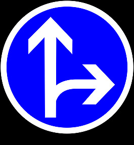 b21d1