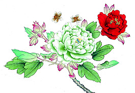 位圖 時(shí)尚休閑女裝 成熟優(yōu)雅女裝 植物 花卉 免費(fèi)素材