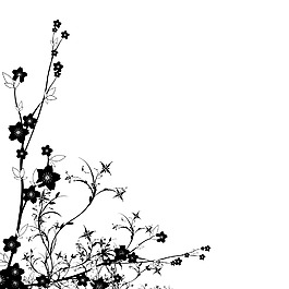 位圖 成熟優(yōu)雅女裝裝飾 色彩 優(yōu)雅植物 免費(fèi)素材
