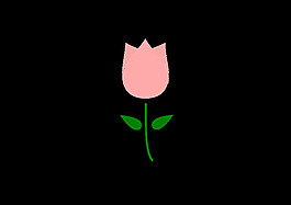 郁金香