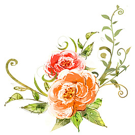 位圖 時(shí)尚休閑女裝 成熟優(yōu)雅女裝 植物 優(yōu)雅植物 免費(fèi)素材