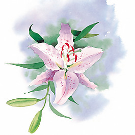 位圖 時(shí)尚休閑女裝 成熟優(yōu)雅女裝 植物 優(yōu)雅植物 免費(fèi)素材