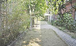 院子圖片