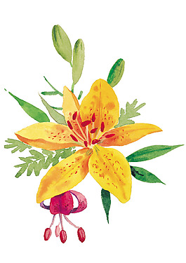 位圖 成熟優(yōu)雅女裝 優(yōu)雅植物 毛衫印花 免費素材