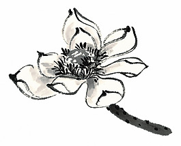 位圖 成熟優(yōu)雅女裝 優(yōu)雅植物 毛衫印花 免費素材
