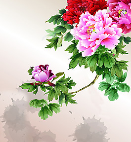 時尚休閑女裝 成熟優(yōu)雅女裝 T恤圖案 毛衫印花 優(yōu)雅植物 免費(fèi)素材