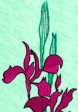 繡花 植物 花 色彩 免費(fèi)素材