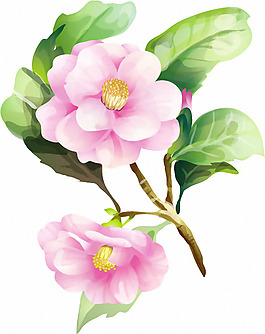 時尚休閑女裝 成熟優(yōu)雅女裝 T恤圖案 毛衫印花 優(yōu)雅植物 免費(fèi)素材