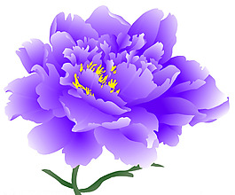 時尚休閑女裝 成熟優(yōu)雅女裝 T恤圖案 毛衫印花 優(yōu)雅植物 免費(fèi)素材