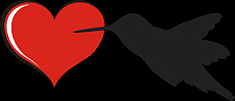 bird_heart
