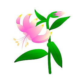 印花矢量圖 成熟優(yōu)雅女裝 優(yōu)雅植物 毛衫印花 免費素材
