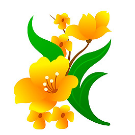 印花矢量圖 成熟優(yōu)雅女裝 優(yōu)雅植物 毛衫印花 免費素材