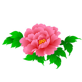 印花矢量圖 成熟優(yōu)雅女裝 優(yōu)雅植物 毛衫印花 免費(fèi)素材