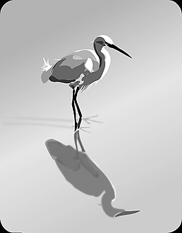 牛背鷺