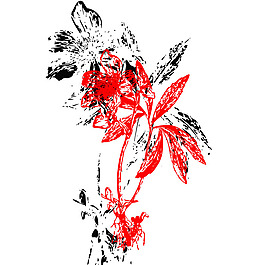 印花矢量圖 成熟優(yōu)雅女裝 優(yōu)雅植物 花 免費(fèi)素材