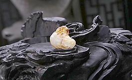 和田玉雕刻 和田玉圖片