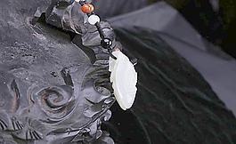和田玉雕刻 和田玉圖片