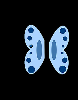 藍(lán)蝴蝶