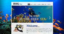 海洋動(dòng)物樂(lè)園企業(yè)模板