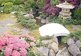 日式花园图片