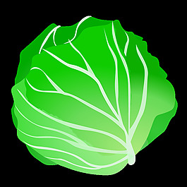 白菜