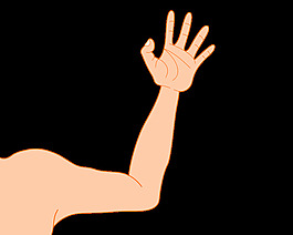 臂