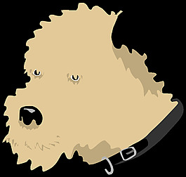 狗