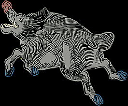 野猪