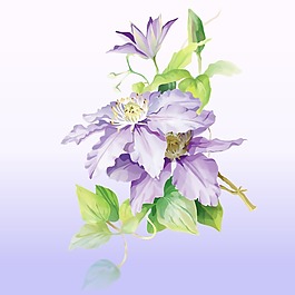 印花矢量圖 成熟優(yōu)雅女裝 植物 花卉 毛衫印花 免費(fèi)素材