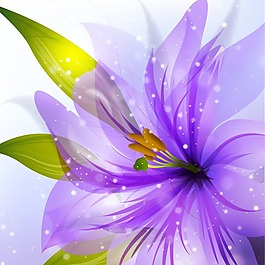 印花矢量圖 成熟優(yōu)雅女裝 植物 花卉 毛衫印花 免費(fèi)素材