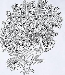 學(xué)生美術(shù)作品孔雀圖片