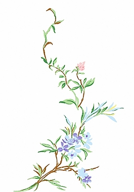成熟優(yōu)雅女裝 T恤圖案 毛衫印花 優(yōu)雅植物 植物 免費(fèi)素材