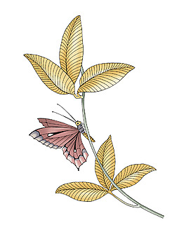 成熟優(yōu)雅女裝 T恤圖案 植物 樹葉 葉子 免費素材