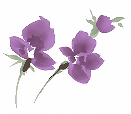 位圖 成熟優(yōu)雅女裝 T恤圖案 毛衫印花 優(yōu)雅植物 免費(fèi)素材