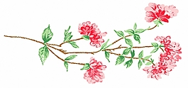 位圖 成熟優(yōu)雅女裝 T恤圖案 毛衫印花 優(yōu)雅植物 免費素材