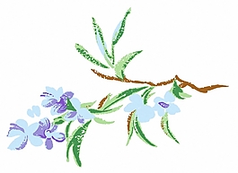 位圖 成熟優(yōu)雅女裝 T恤圖案 毛衫印花 優(yōu)雅植物 免費(fèi)素材