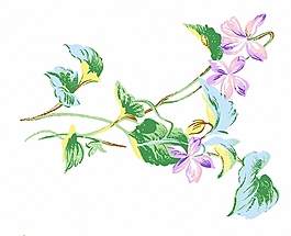位圖 成熟優(yōu)雅女裝 植物 毛衫印花 優(yōu)雅植物 免費素材