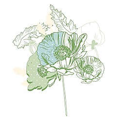 印花矢量圖 成熟優(yōu)雅女裝 T恤圖案 毛衫印花 植物 免費(fèi)素材