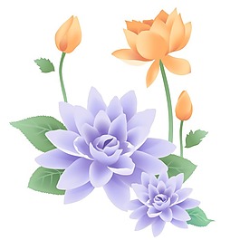 印花矢量圖 成熟優(yōu)雅女裝 植物 毛衫印花 免費素材