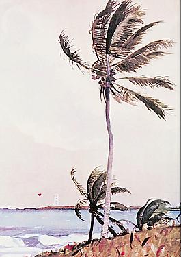 油畫(huà)圖片