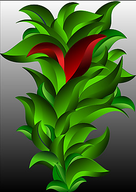 植物