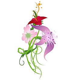 印花矢量圖 成熟優(yōu)雅女裝 優(yōu)雅植物 毛衫印花 免費素材