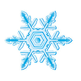 印花矢量圖 時尚休閑女裝 雪花 圣誕節(jié) 免費(fèi)素材