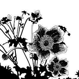 印花矢量圖 時(shí)尚休閑女裝 優(yōu)雅植物 毛衫印花 優(yōu)雅植物 免費(fèi)素材