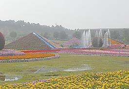 東盟國際博覽會圖片